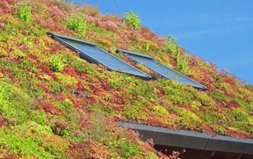 Rooks Nest living roof systems