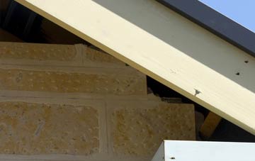 soffit repair Rooks Nest